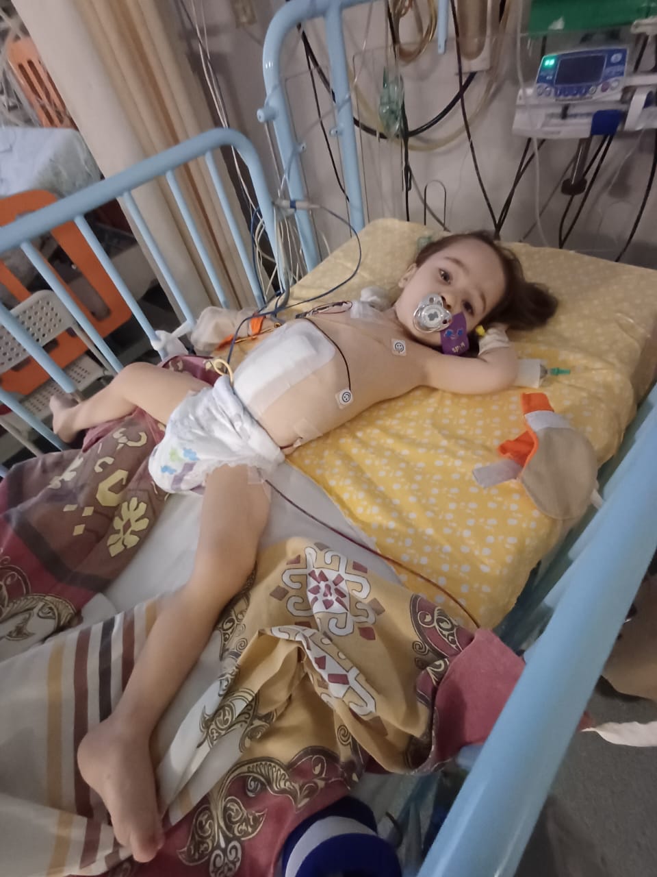 Support Vera's Lifesaving Surgery: Urgent Medical Aid Needed 2